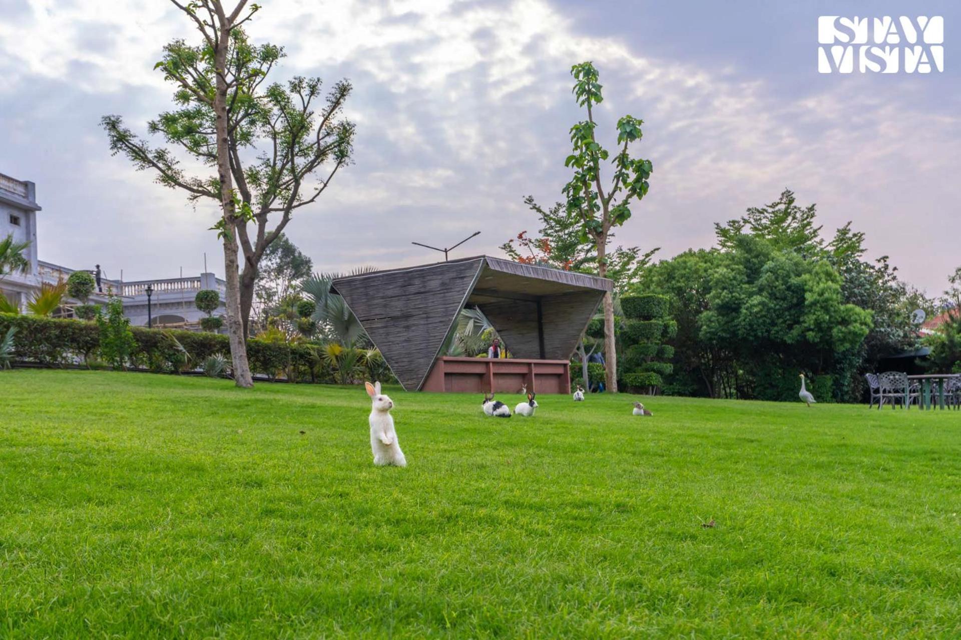 Stayvista At Maple Farms With Pool, Bbq & Bonfire Sohna Buitenkant foto